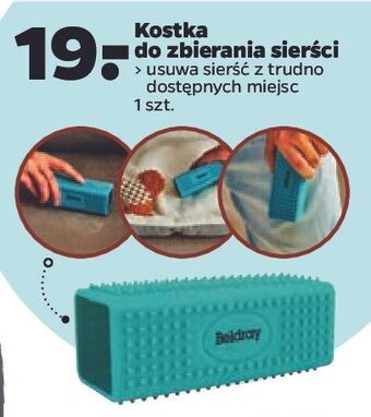 Netto Kostka do zbierania sierści beldray oferta