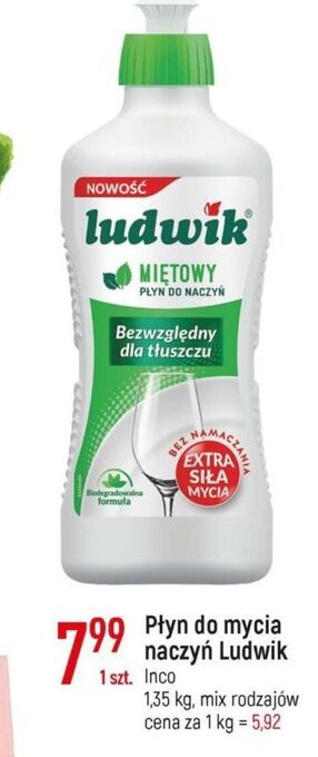 E.Leclerc Płyn do mycia naczyń miętowy ludwik oferta