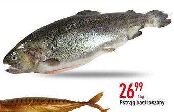 E.Leclerc Pstrąg patroszony oferta