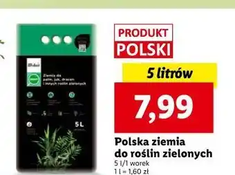 Lidl Ziemia uniwersalna oferta