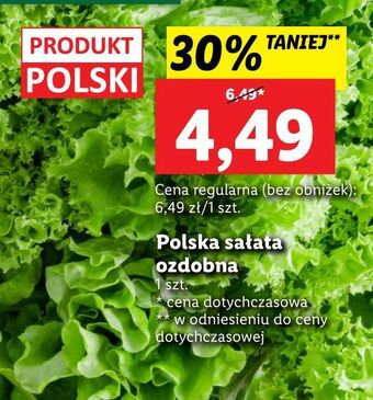 Lidl Sałata ozdobna oferta
