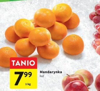 Intermarche Mandarynka 1kg oferta