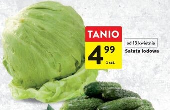 Intermarche Sałata lodowa 1szt. oferta