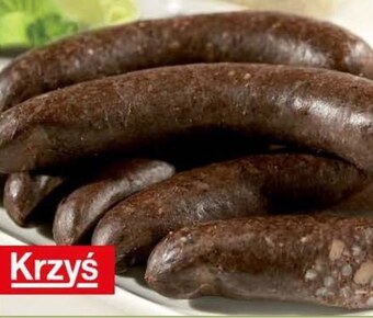 Słoneczko Kaszanka krzyś oferta