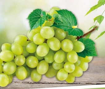 Gram Market Winogrona oferta