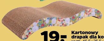 Netto Drapak dla kota oferta