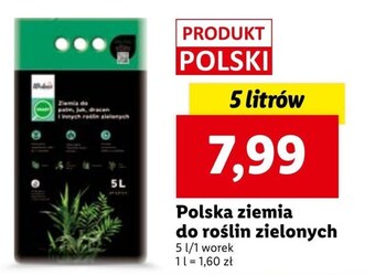 Lidl Ziemia oferta