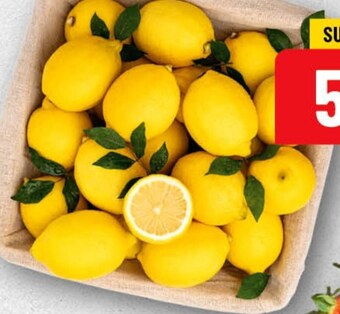Polomarket Cytryna oferta