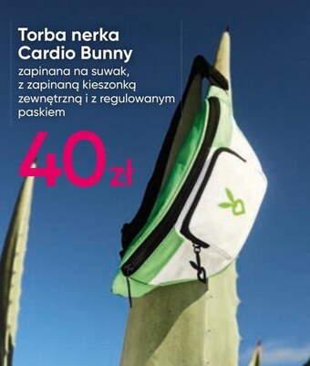 Pepco Torba cardio bunny oferta