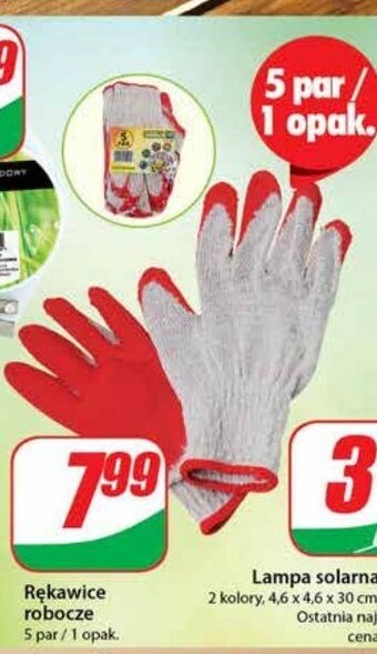 Dino Rekawice robocze oferta