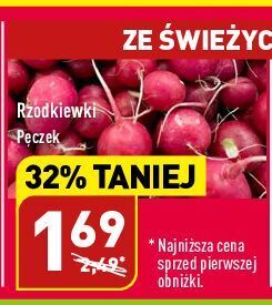 ALDI Rzodkiewka oferta