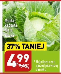 ALDI Kapusta biała oferta