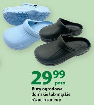 Auchan Buty ogrodowe oferta