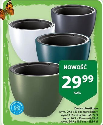 Auchan Donica plastikowa 56.9 x 43.5 cm oferta