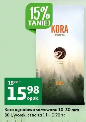 Auchan Kora sosnowa oferta