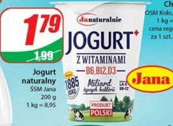 Dino Jogurt naturalny jana oferta