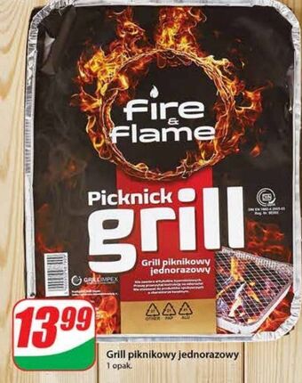 Grill piknikowy jednorazowy fire & flame