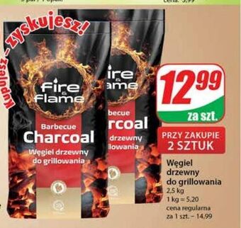 Dino Węgiel drzewny fire & flame oferta