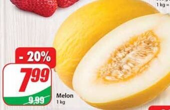 Dino Melon oferta