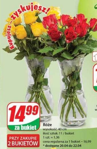 Dino Róże 40 cm oferta