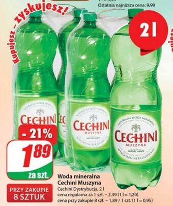 Dino Woda wysokozmineralizowana muszyna cechini oferta