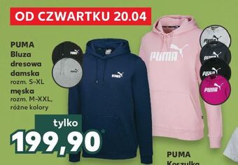 Kaufland Bluza damska puma oferta