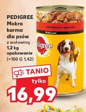 Kaufland Karma dla psa wołowina pedigree oferta