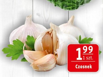 Prim Market Czosnek oferta