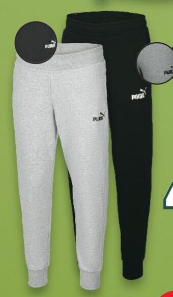 Kaufland Spodnie dresowe puma oferta