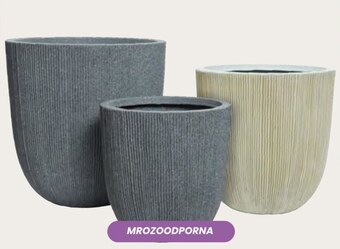 Dobromir Donica oferta