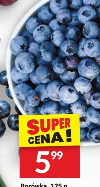 Twój Market Borówka amerykańska oferta