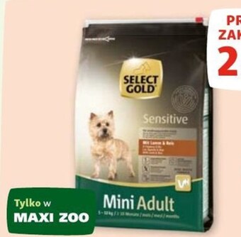 Maxi Zoo Karma dla psa select gold oferta