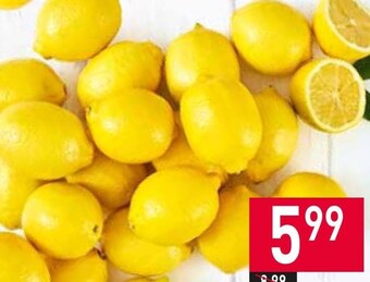 Stokrotka Cytryna oferta