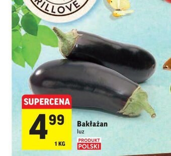 Intermarche Bakłażan 1kg oferta
