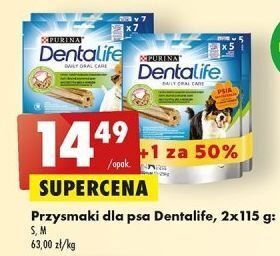 Biedronka Przysmak dla psa medium purina dentalife oferta