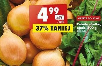 Biedronka Cebula słodka oferta