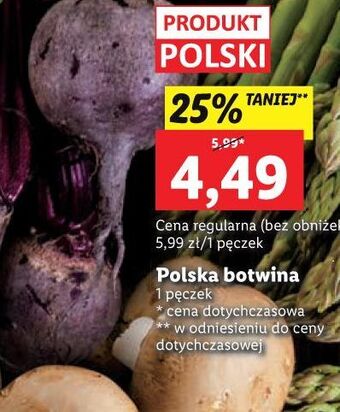 Lidl Botwina 1 pęk oferta