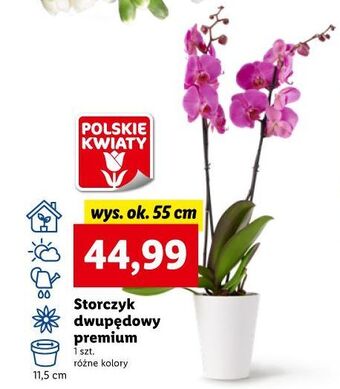 Lidl Storczyk dwupędowy oferta