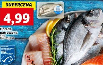 Lidl Dorada patroszona oferta