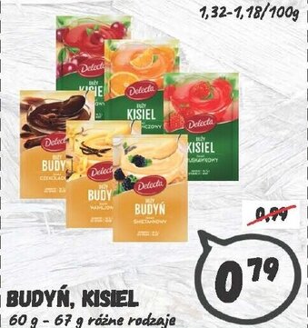 Wafelek Budyń lub kisiel Delecta 60-67g oferta