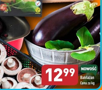 ALDI Bakłażan 1kg oferta