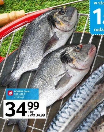 Selgros Dorada cała 1kg oferta