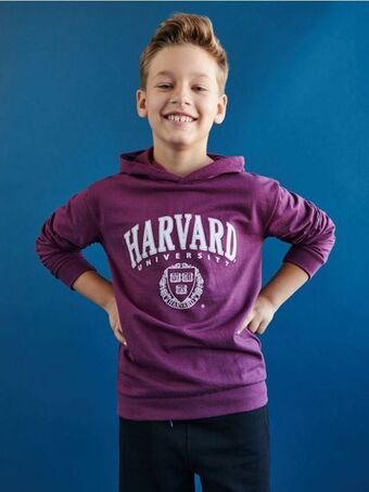Sinsay Bluza harvard oferta