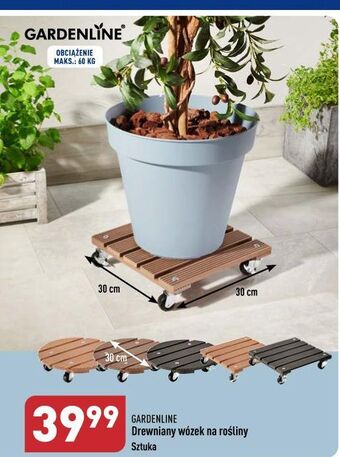 ALDI Wózek drewniany na rośliny garden line oferta