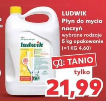 Kaufland LUDWIK Płyn do mycia naczyń 5 kg oferta