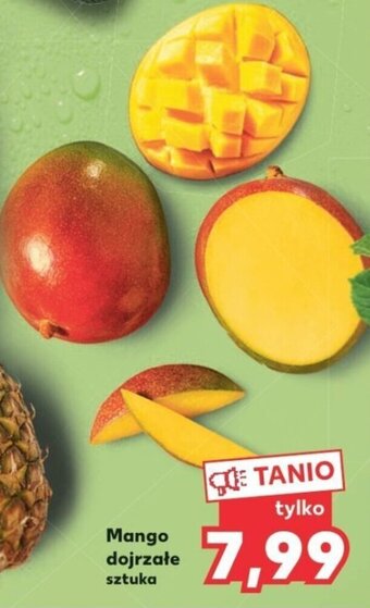 Kaufland Mango dojrzałe sztuka oferta