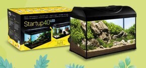 Kakadu Zestaw akwarystyczny diversa oferta