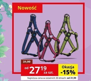 Kakadu Szelki dla psa active dog oferta