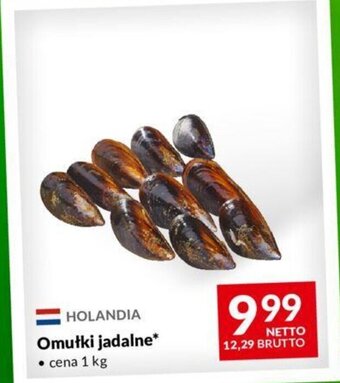 Makro Omułki jadalne 1kg oferta