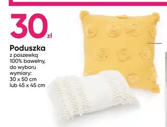 Pepco Poduszka z poszewką 100% bawełny oferta